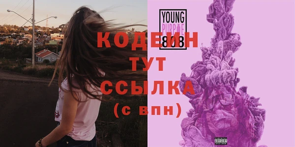 mix Богородицк