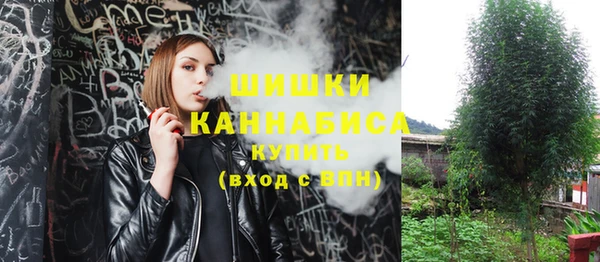 амф Сатка