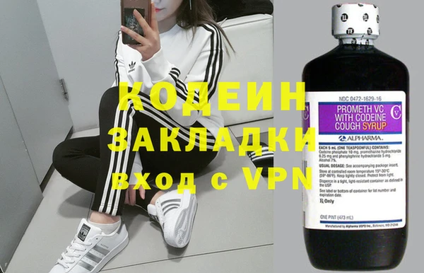 таблы Бородино