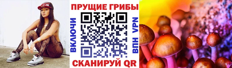 купить наркотик  Добрянка  Псилоцибиновые грибы Psilocybe 